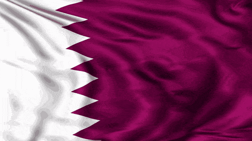 The Qatar Society of Dermatology and Dermatologic Surgery